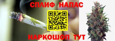 Альфа ПВП Боровичи