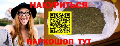 Альфа ПВП Владикавказ