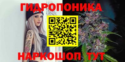 Альфа ПВП Владикавказ