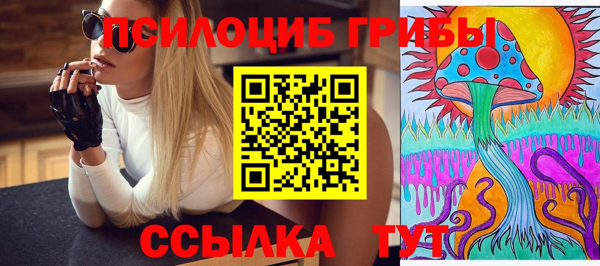 Зеленогорск  что такое   Вход с VPN  Псилоцибиновые грибы мухоморы 